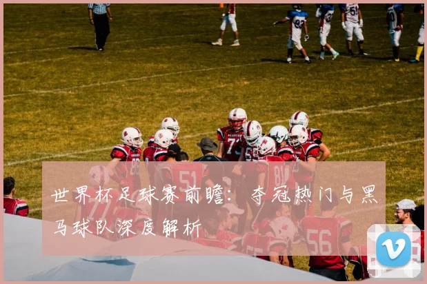 世界杯足球赛前瞻：夺冠热门与黑马球队深度解析