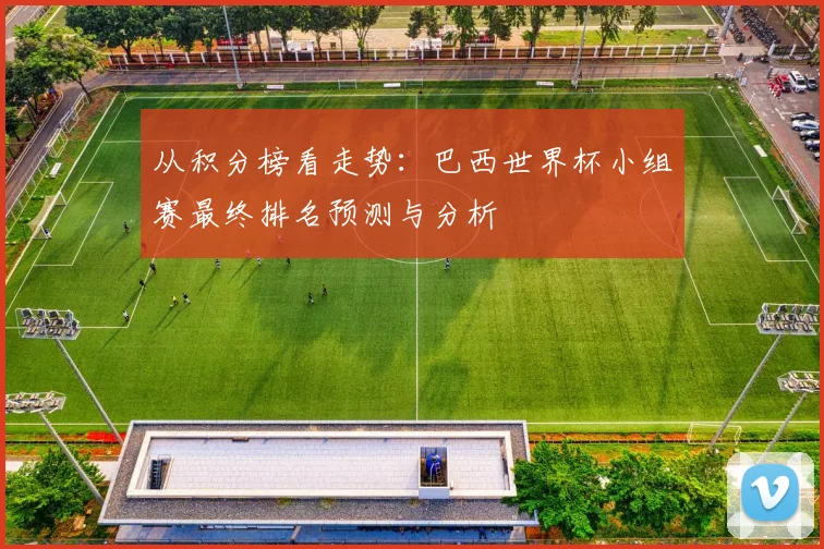 从积分榜看走势：巴西世界杯小组赛最终排名预测与分析